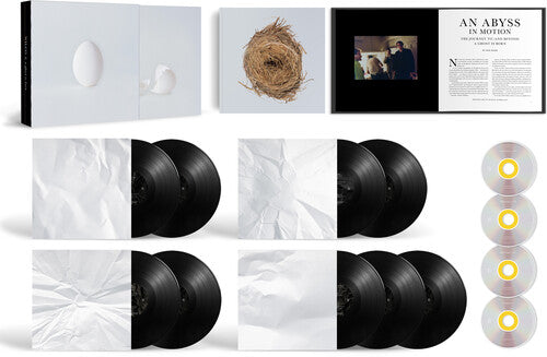 Wilco: A Ghost Is Born (9LP/4CD box set)