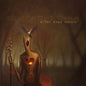 With Our Arms To the Sun: A Far Away Wonder